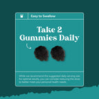 Chlorophyll Gummies for Cleanse & Detox Support - Potent Internal Deodorizer Chloropyll Supplements for Body Odor Healthy Skin Immunity & Digestive Support - Vegan Non-GMO & Gluten Free - 60 Count