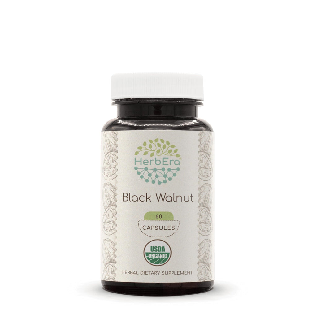 HerbEra Black Walnut 500 mg | USDA Organic Vegan Capsules | Digestive & Antioxidant Support, Juglans Nigra Dried Hull | Herbal Supplement (60 Capsules)