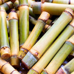 Pure Original Ingredients Bamboo Extract (8oz) Non-GMOm Gluten-Free, Herbal Supplement