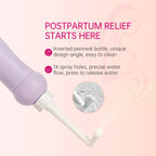 FAYUNDRA Postpartum Essentials Kit for Labor & Delivery, Postpartum Kit with Cooling Spray, 4 Disposable Postpartum Underwears, 8 Postpartum Pads, 2 Hot & Cold Packs, 30 Pad Liners, Peri Bottle (6)