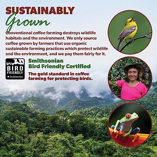 Java Planet Low Acid Coffee, Guatemalan Organic Coffee Beans, Smooth Full Flavored, Single Origin: Whole Bean Medium Roast - Smithsonian Bird Friendly 2-1LB Bags