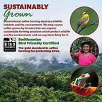 Java Planet Low Acid Coffee, Guatemalan Organic Coffee Beans, Smooth Full Flavored, Single Origin: Whole Bean Medium Roast - Smithsonian Bird Friendly 2-1LB Bags