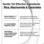 Anua Rice Ceramide 7 Hydrating Barrier Serum, Moisturizing Face Serum, Non-comodogenic, Hyaluronic Acid, Niacinamide, Lightweight, Fragrance Free, Sensitive Dry Skin, Korean Skincare, 1.69 fl oz
