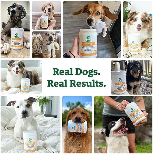Doggie Dailies Omega 3 for Dogs, 225 Soft Chews, Salmon Oil for Dogs with Apple Cider Vinegar, Bee Pollen, Kelp, Zinc & Biotin - for Healthy Skin & Coat, Immune System & Seasonal Allergy Support