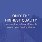 Host Defense Stamets 7-7 Species Blend - Mushroom Supplement for Immune Support - Includes Royal Sun Blazei, Cordyceps, Reishi, Maitake, Lion's Mane, Chaga & Mesima - 60 Capsules (30 Servings)*