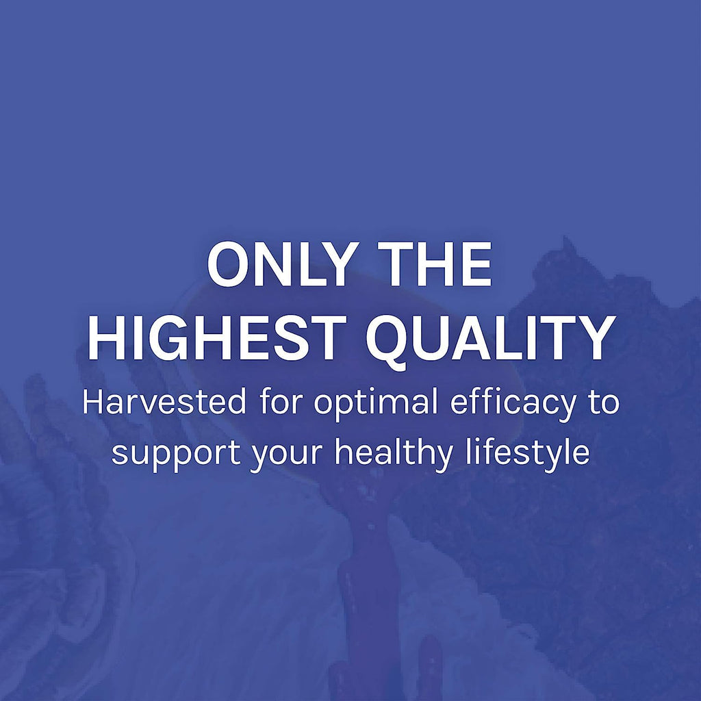 Host Defense Stamets 7-7 Species Blend - Mushroom Supplement for Immune Support - Includes Royal Sun Blazei, Cordyceps, Reishi, Maitake, Lion's Mane, Chaga & Mesima - 120 Capsules