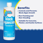 In The Swim Black Algaecide – Eradicates Black Algae in Swimming Pools - Copper Sulfate Pentahydrate - 1 Quart - 2 Pack