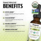 Dr. Green Life USDA Organic Folinic Acid Drops - 500 mcg per Drop | Methylation Support B9 Supplements for Kids & Adults | Supports Neurological Function, Nervous System Health & DNA Synthesis