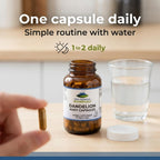 Pure Mountain Botanicals Dandelion Root Capsules - 450mg Organic Supplement - 90 Kosher Vegan Non-GMO Dandelion Pills