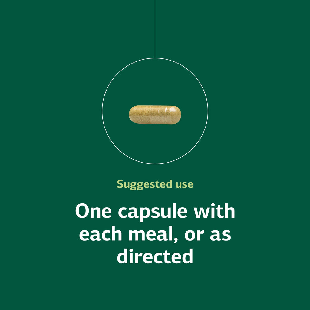 Standard Process Ostarplex - Dietary Supplement for Connective Tissue Health - Aids Liver Health & Function - Contains Vitamin B6 - Non-Dairy - 90 Capsules (90 Servings)
