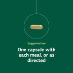 Standard Process Ostarplex - Dietary Supplement for Connective Tissue Health - Aids Liver Health & Function - Contains Vitamin B6 - Non-Dairy - 90 Capsules (90 Servings)