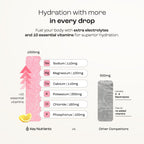 KEY NUTRIENTS Multivitamin Electrolytes Powder No Sugar - Fresh Pink Lemonade Electrolyte Powder - Endurance & Energy Supplement - Hydration Powder - No Calories - 90 Servings - Made in USA