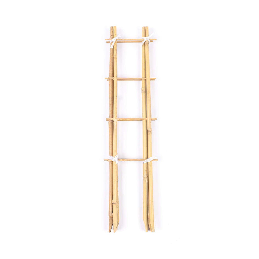 Cambaverd Indoor Plant Trellis, 24in Ladder-Shaped Bamboo Trellis 3 Pack