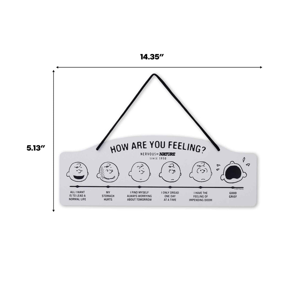Peanuts How Are You Feeling Hanging Metal Sign