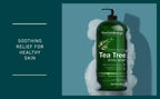 New York Biology Tea Tree Body Wash for Men and Women - Moisturizing Body Wash Helps Soothe the Skin - Refreshing and Hydrating Cleanser for Body and Feet - 16.9 Fl Oz (Pack of 2)