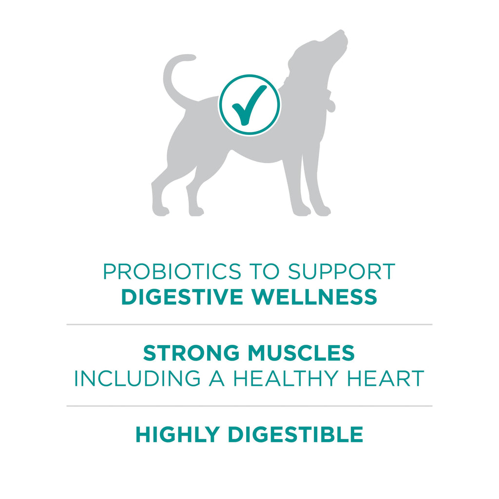 Purina ONE Plus Digestive Health Dry Dog Food, Chicken, 31.1 lb Bag