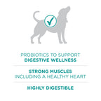 Purina ONE Plus Digestive Health Dry Dog Food, Chicken, 31.1 lb Bag