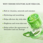 Aloderma Aloe Vera Gel Made within 12 Hours of Harvest with 96% Pure Organic Aloe Vera for Skin, Scalp, & Hair, Soothing Aloe Face Moisturizer, Multipurpose, Hydrating Aloe Gel, 7oz, 3-Pack