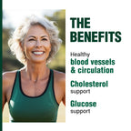 LABO Nutrition VesseCLEAR CX Nattokinase NSK-SD with Gamma Oryzanol — Daily Supplement for Healthy Blood Circulation and Cardiovascular Support — 90 Vegan DRcaps