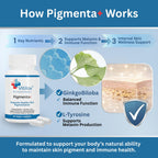 Vitilox Pigmenta+ Advanced, Skin Tone Support Supplement – 60 Tablets | 2 Months | Natural Vitiligo Skin Pigmentation Support | Reduce White Body Spots