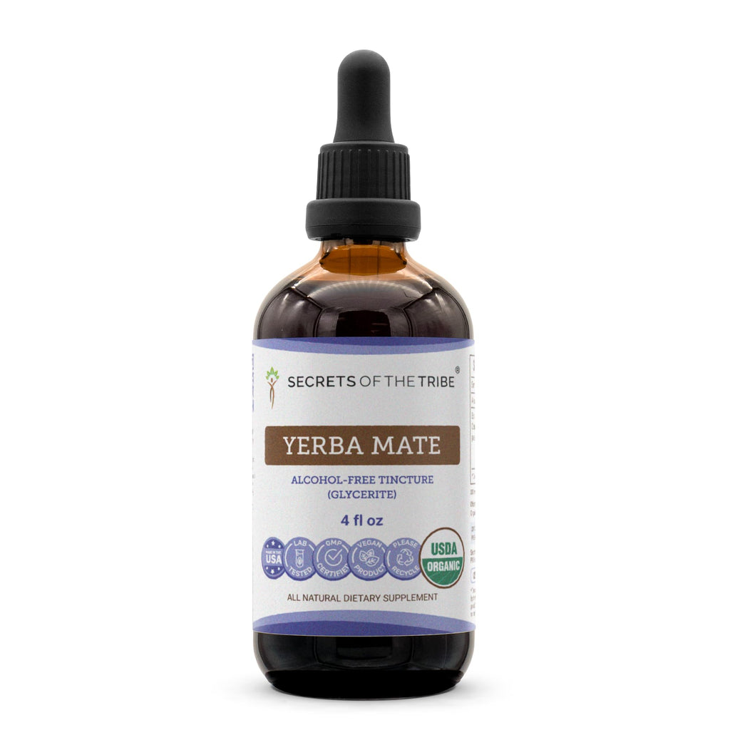 Secrets of the Tribe Yerba Mate USDA Organic Tincture | Alcohol-Free Extract, High-Potency Herbal Drops | Made from 100% Certified Organic Yerba Mate (Ilex paraguariensis) Dried Leaf (4 fl oz)