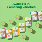 Amazing Grass Super Greens Booster: Greens Powder Smoothie Mix with Spirulina,Moringa,Wheat Grass & Kale Smoothie Booster,Chlorophyll Providing-Greens,30 Servings,(Pack of 2)