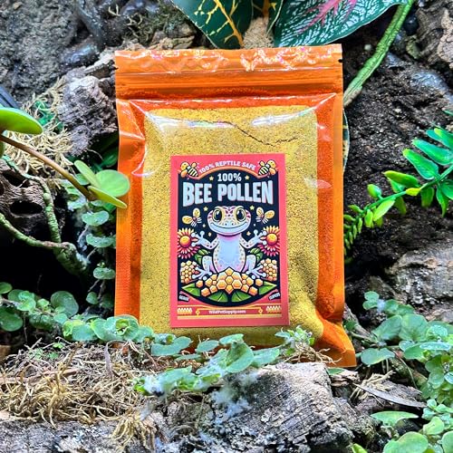 100% Bee Pollen Powder for Bearded Dragons, Tortoises, and Other Herbivores/Omnivores, 3 OZ (CTWPets)