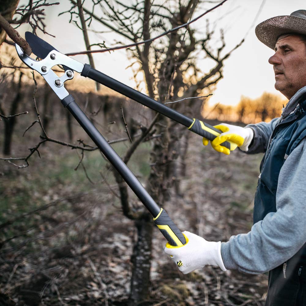 Jardineer Ratchet Anvil Loppers, Heavy Duty Tree Branch Cutters with 2" Cutting Capacity, Labor-Saving Garden Loppers with Additional SK5 Spare Blade for Yard, Orchard & Thick Shrub Trimming