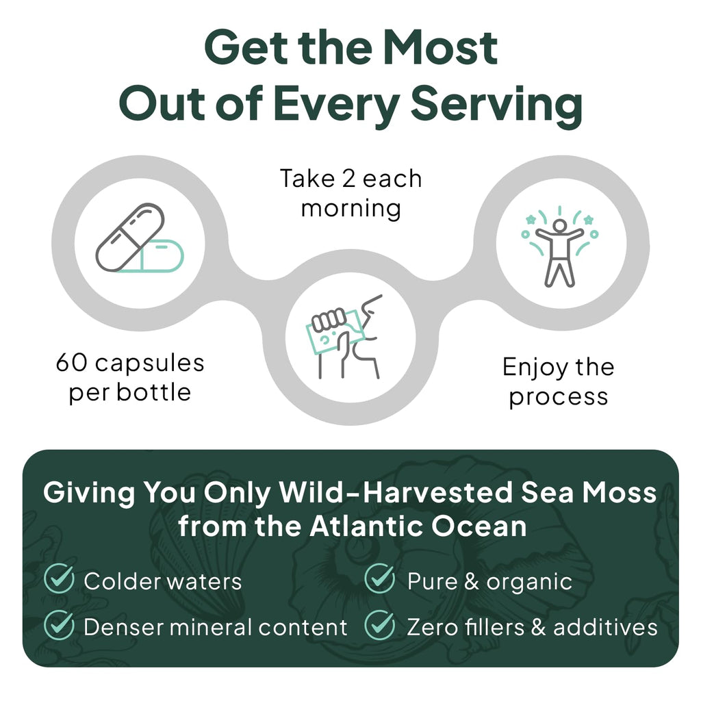 Organics Ocean Wild Sea Moss Capsules - 100% Organic Irish Sea Moss with Organic Chlorella, Bladderwrack and Vitamin D for Energy, Lung Health and Thyroid Support for Women and Men - 60 Capsules
