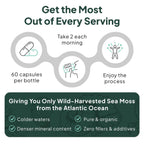 Organics Ocean Wild Sea Moss Capsules - 100% Organic Irish Sea Moss with Organic Chlorella, Bladderwrack and Vitamin D for Energy, Lung Health and Thyroid Support for Women and Men - 60 Capsules