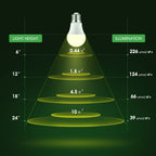 Briignite Grow Light Bulbs, Full Spectrum Grow Light Bulb, LED Grow Light
