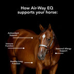 MVP Air-Way EQ Supports Healthy Lung Function and Seasonal Allergy Support in Horses, 5lb - 40 Servings