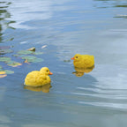 Juliahestia Pool Decorations Outdoor Duck Statue – Small Floating Pond Decor for Garden Outside Lawn Ornament Duckling Figurine Float Decorations