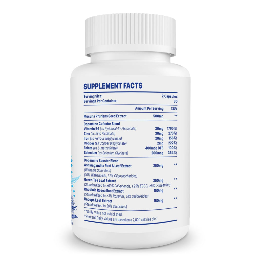 Zdoroviye Dopamine Supplements for Men and Women - Contains 500mg Mucuna Pruriens Extract (40% L-DOPA) - 60 Capsules (1 Pack)