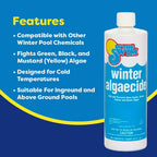 In The Swim Winter Swimming Pool Algaecide - 1 Quart