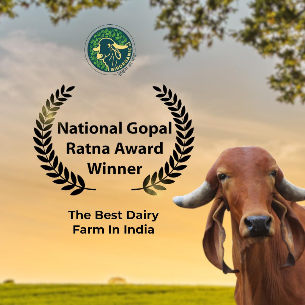 100% Organic Grass fed Ghee Butter from GirOrganic - 1 liter glass jar of Premium quality A2 Gir Cow cultured ghee. Pasture raised, Non-GMO, lactose - Casein - gluten free. Delivered in 5-8 days.