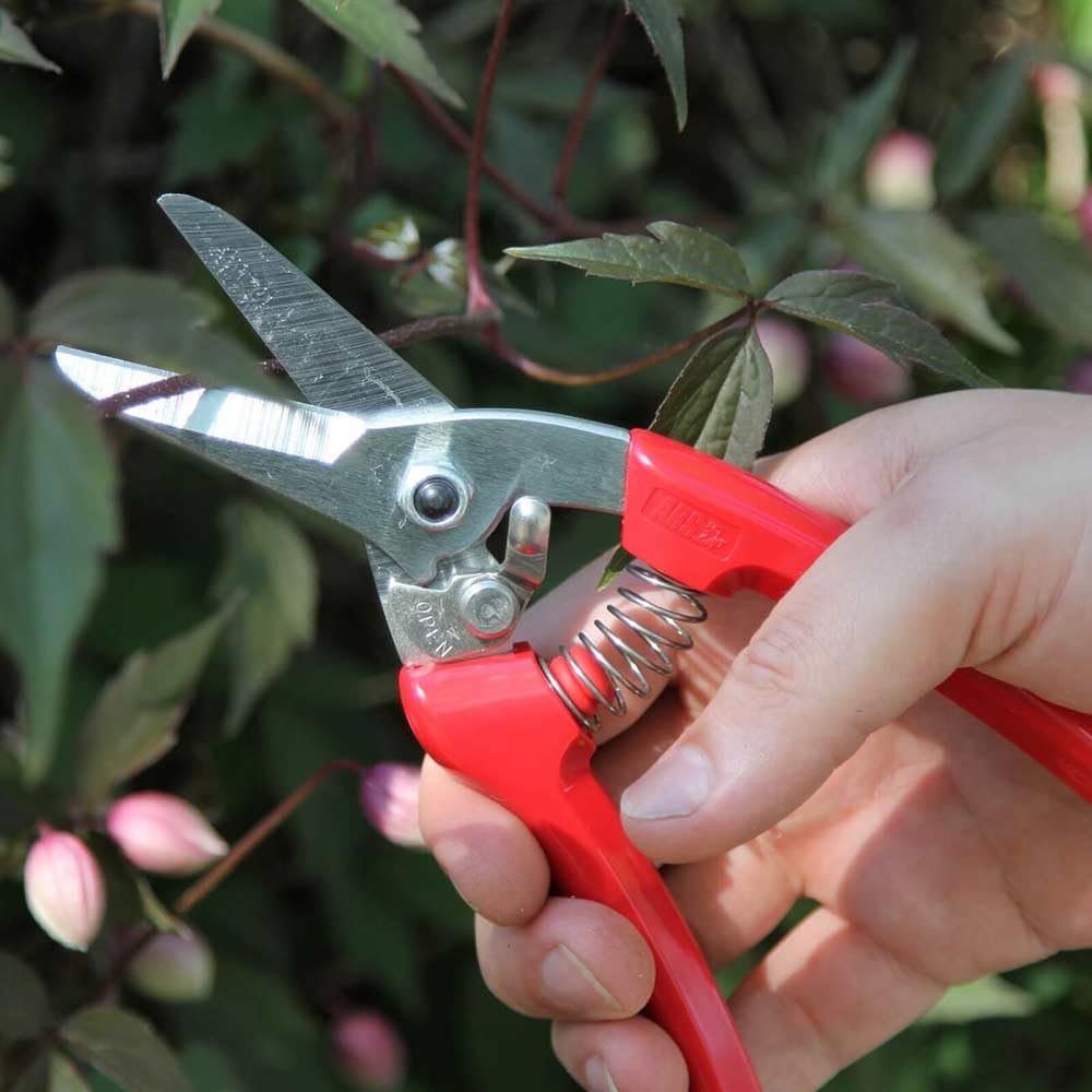 ARS Cut above the rest Pruning shears -140DX 12mm