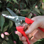 ARS Cut above the rest Pruning shears -140DX 12mm