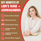 Ashwagandha & Lions Mane Supplements Capsules, Brain Supplements for Memory and Focus, Ashwagandha with Rhodiola Rosea for Cognitive, Immune Support, Cortisol Supplements for Women, 90 Capsules