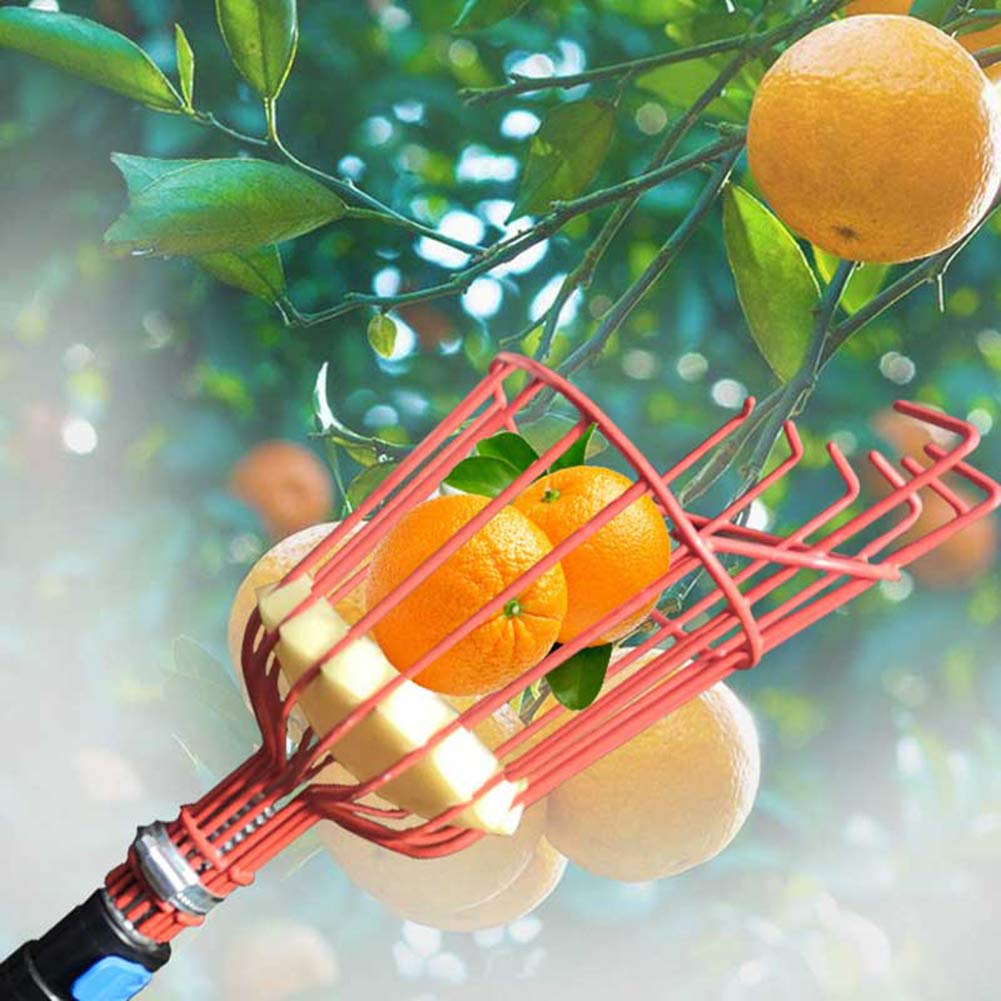 Suwimut 2 Pack Fruit Picker Basket Head, Fruit Harvesting Tool for Gathering Apple Mango Orange Avocados Lemon Peach, Fruits Tree Grabber Tool with Foam Cushion to Prevent Bruising (Pole Not Included)