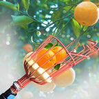 Suwimut 2 Pack Fruit Picker Basket Head, Fruit Harvesting Tool for Gathering Apple Mango Orange Avocados Lemon Peach, Fruits Tree Grabber Tool with Foam Cushion to Prevent Bruising (Pole Not Included)