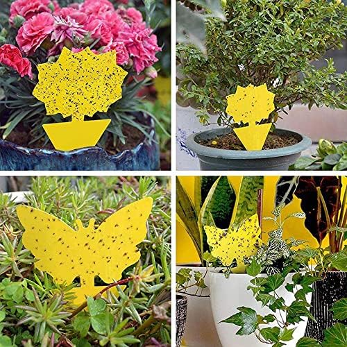 Zevo Flying Insect Trap for Indoors: Light Trap Captures Fruit Flies, Gnats and Houseflies, Starter Kit + Refills (1 Plug-in Base + 3 Cartridges)