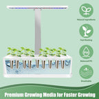 Basil Seed Pods for AeroGarden - 12 Hydroponic Refill Herb Pods with Seeds of Genovese Basil for Most Hydroponic Systems of Ahopegarden, GARDENCUBE, iDOO, and URUQ, Grow Your Own Herb Garden at Home