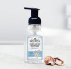 J.R. Watkins Foaming Hand Soap with Pump Dispenser, Moisturizing Foam Hand Wash, Alcohol-Free, Cruelty-Free, brise marine, 9 fl oz, 3 Pack