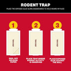 Catchmaster Compact Sticky Insect & Mouse Traps 75-Count, 3.5"x7" Glue Boards for Mice & Insects, Ultra Sticky Mouse Traps Indoor for Home Use in Garages, Basements & Attics, Capture in Tight Places