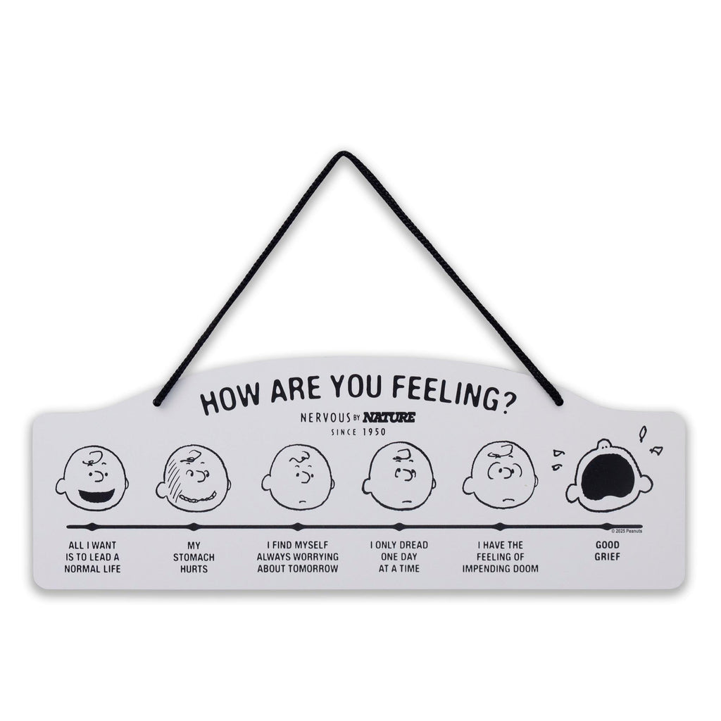Peanuts How Are You Feeling Hanging Metal Sign