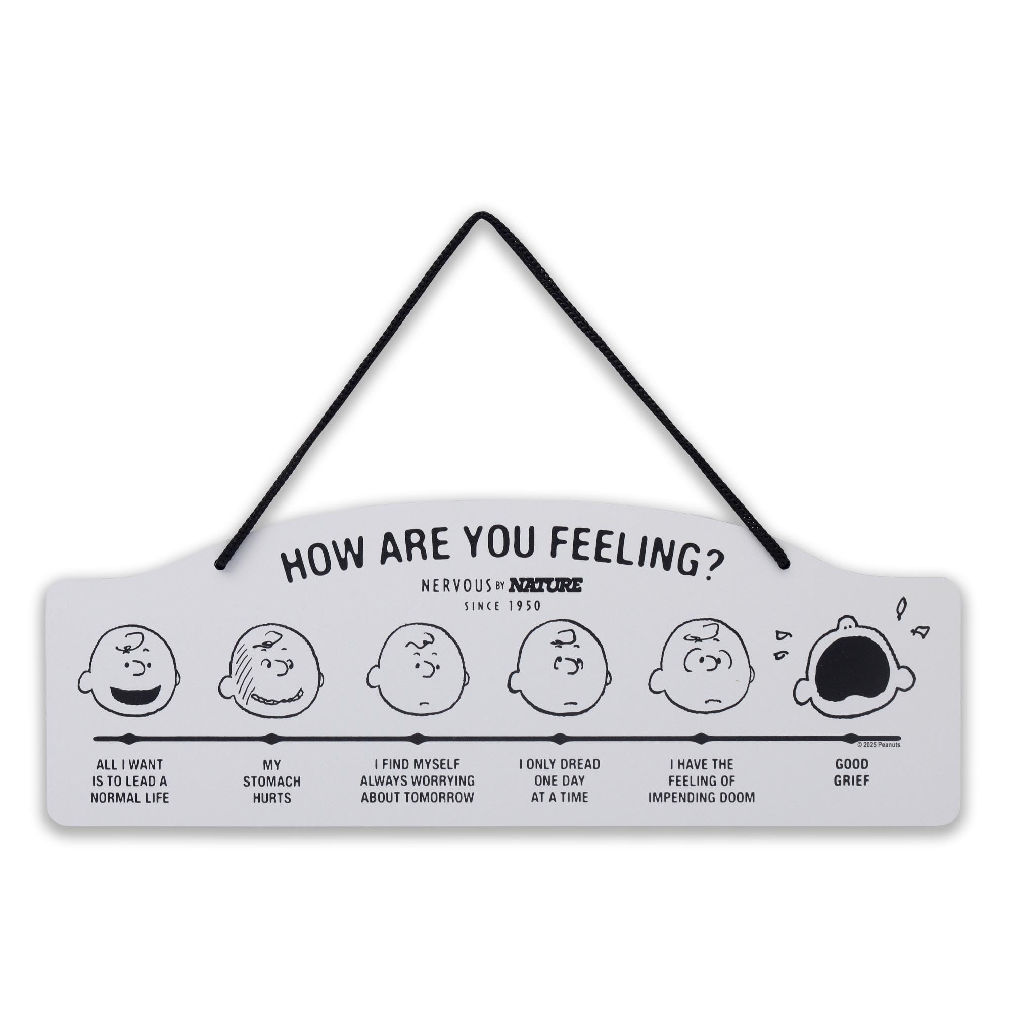 Peanuts How Are You Feeling Hanging Metal Sign