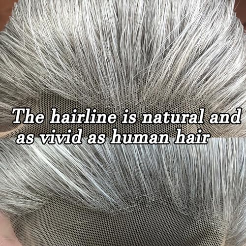 BTWTRY Gray Wig Long Straight Grandma Grey Synthetic Lace Front Wigs Pre Plucked Natural Hairline for Black Women Heat Resistant Fiber Hair Cosplay Daily Wear Wig (Grandma Grey)