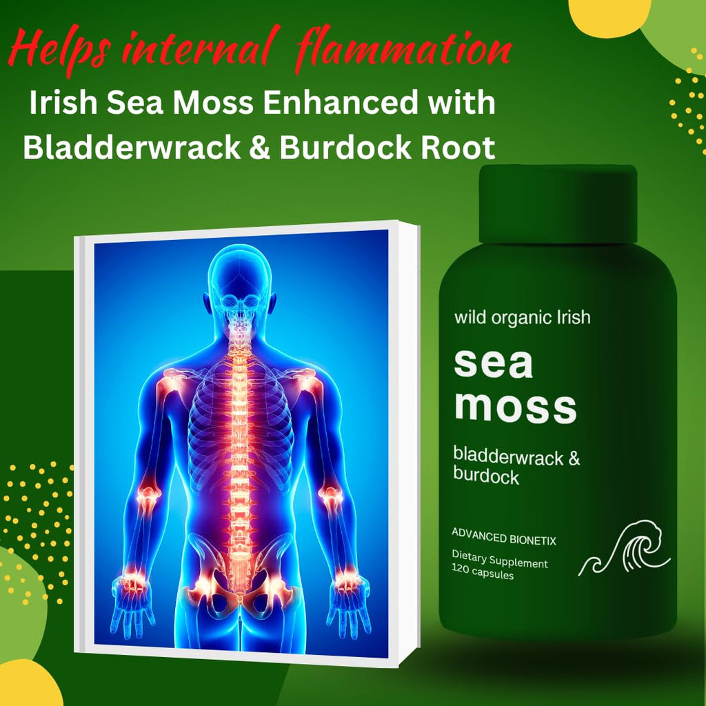 Advanced Bionetix Organic Irish Sea Moss Capsules, Raw Wildcrafted Seamoss Enhanced w/Bladderwrack & Burdock Root Capsules 240 Total Pills Antioxidant Packed. Prebiotic Superfood, Thyroid Support