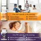 AM PM Multivitamin - Cortisol Supplements for Women and Men with L-Theanine, Ashwagandha - Rhodiola Rosea Supplement 200mg - Vitamin B Complex - Nootropics - Day and Night Vitamins for Women & Men